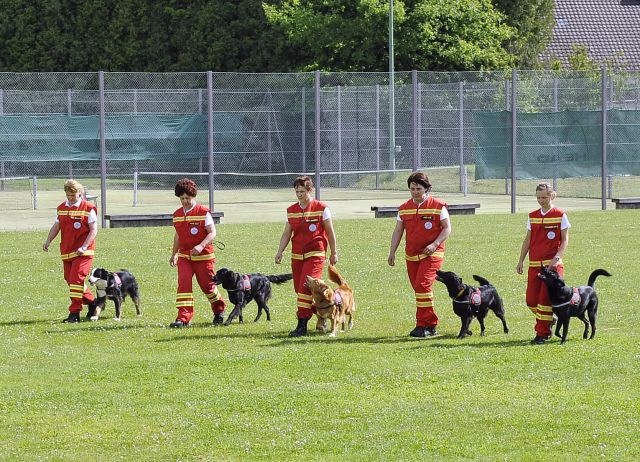 Bildgröße auf die Monitorauflösung (640x480 px) optimiert