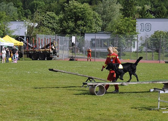 Bildgr&ouml;&szlig;e auf die Monitoraufl&ouml;sung (640x480 px) optimiert