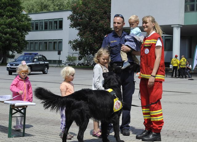 Bildgr&ouml;&szlig;e auf die Monitoraufl&ouml;sung (640x480 px) optimiert