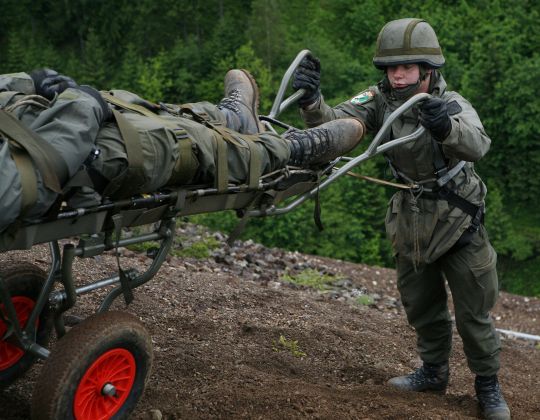 Bildgr&ouml;&szlig;e auf die Monitoraufl&ouml;sung (640x480 px) optimiert