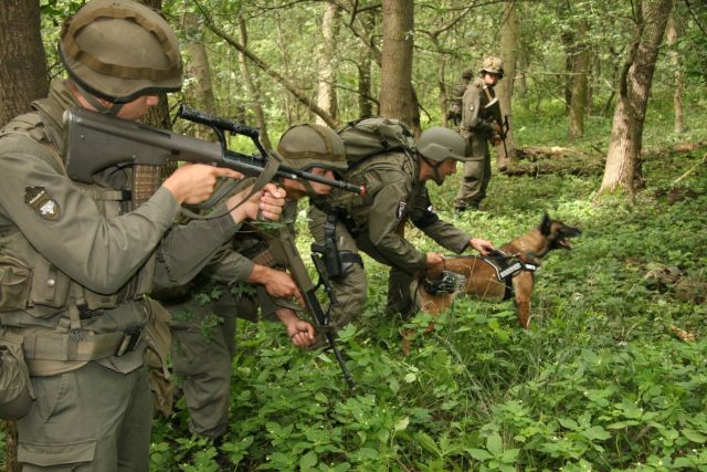 Bildgröße auf die Monitorauflösung (640x480 px) optimiert