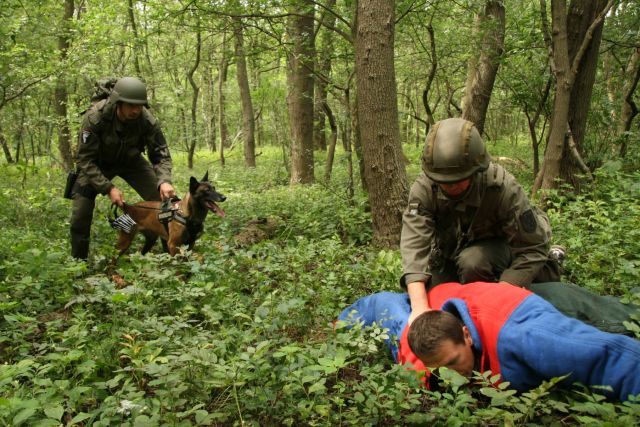 Bildgröße auf die Monitorauflösung (640x480 px) optimiert