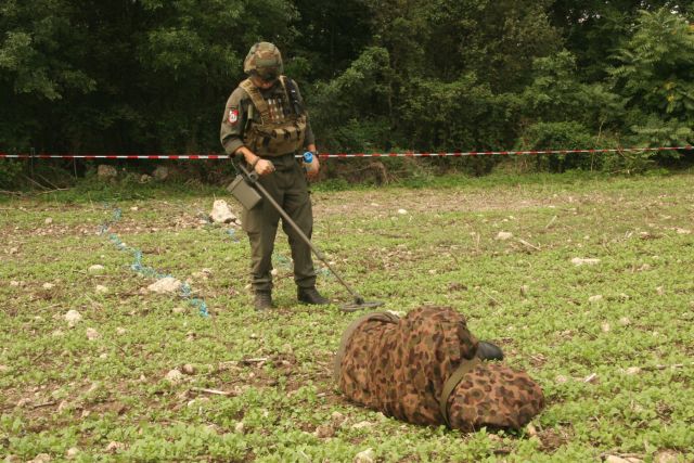 Bildgröße auf die Monitorauflösung (640x480 px) optimiert