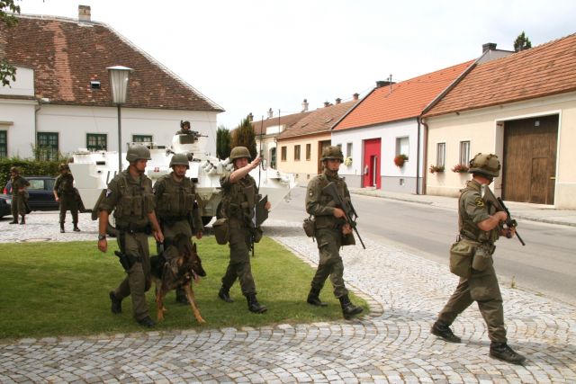 Bildgr&ouml;&szlig;e auf die Monitoraufl&ouml;sung (640x480 px) optimiert