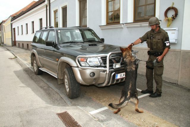 Bildgröße auf die Monitorauflösung (640x480 px) optimiert