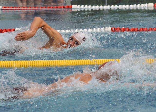 Bildname: 20140807_103956.jpg, momentane Bildgröße: 640x462 px Bildgröße auf die Monitorauflösung (640x480 px) optimiert