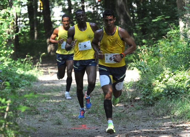 Bildgröße auf die Monitorauflösung (640x480 px) optimiert