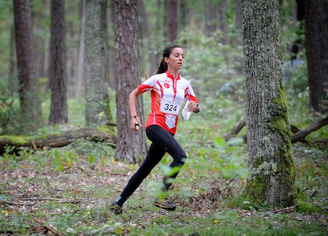 Bildgröße auf die Monitorauflösung (640x480 px) optimiert