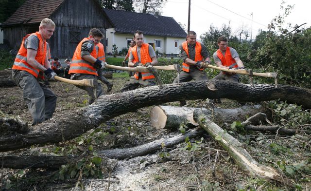 Bildgr&ouml;&szlig;e auf die Monitoraufl&ouml;sung (640x480 px) optimiert