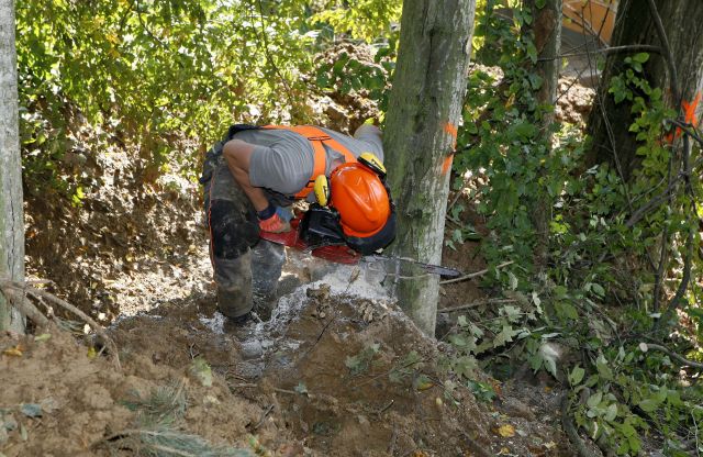 Bildgr&ouml;&szlig;e auf die Monitoraufl&ouml;sung (640x480 px) optimiert