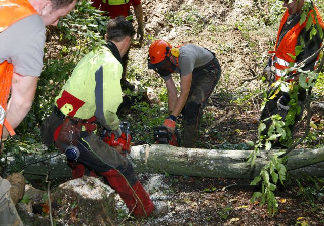 Bildgr&ouml;&szlig;e auf die Monitoraufl&ouml;sung (640x480 px) optimiert