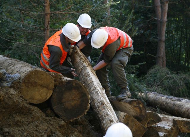 Bildgröße auf die Monitorauflösung (640x480 px) optimiert