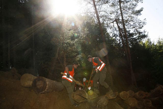 Bildgröße auf die Monitorauflösung (640x480 px) optimiert