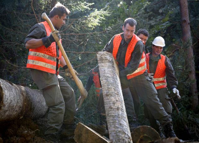 Bildgr&ouml;&szlig;e auf die Monitoraufl&ouml;sung (640x480 px) optimiert