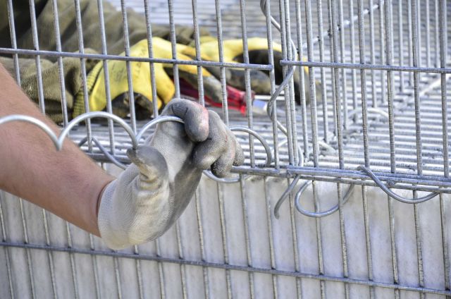 Bildgr&ouml;&szlig;e auf die Monitoraufl&ouml;sung (640x480 px) optimiert