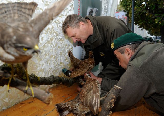 Bildgröße auf die Monitorauflösung (640x480 px) optimiert