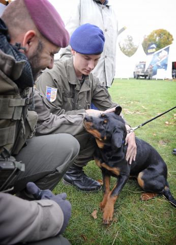 Bildgr&ouml;&szlig;e auf die Monitoraufl&ouml;sung (640x480 px) optimiert