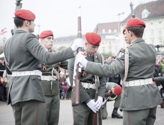 Bildgr&ouml;&szlig;e auf die Monitoraufl&ouml;sung (640x480 px) optimiert