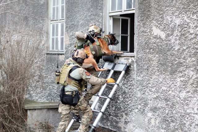 Bildgr&ouml;&szlig;e auf die Monitoraufl&ouml;sung (640x480 px) optimiert