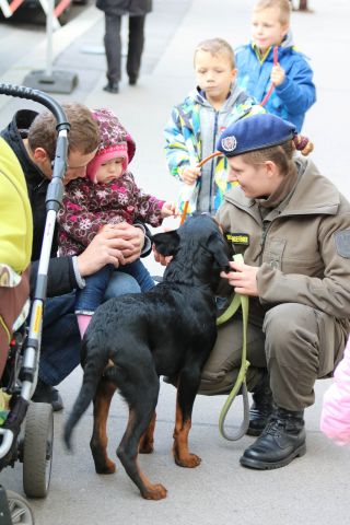 Bildgröße auf die Monitorauflösung (640x480 px) optimiert