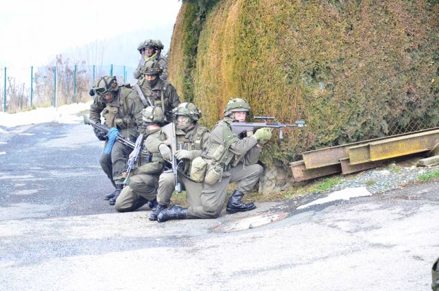 Bildgr&ouml;&szlig;e auf die Monitoraufl&ouml;sung (640x480 px) optimiert