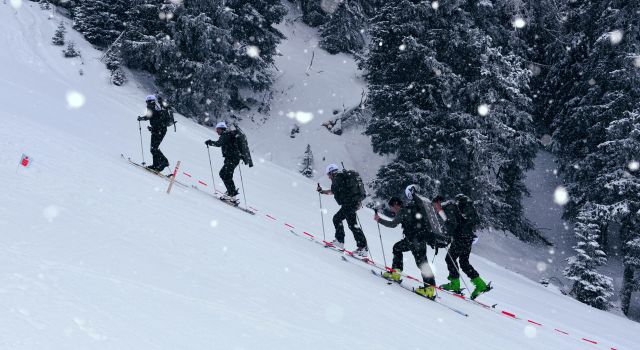 Bildgr&ouml;&szlig;e auf die Monitoraufl&ouml;sung (640x480 px) optimiert