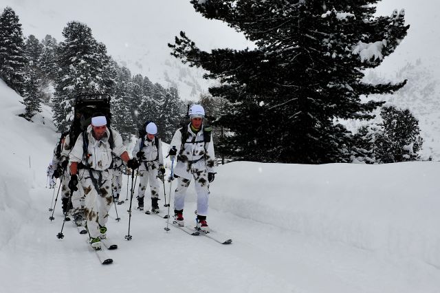 Bildgr&ouml;&szlig;e auf die Monitoraufl&ouml;sung (640x480 px) optimiert