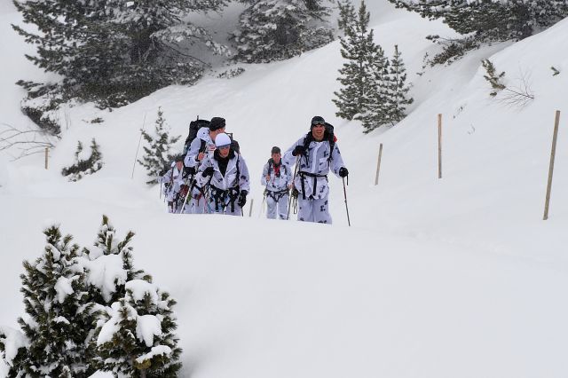 Bildgr&ouml;&szlig;e auf die Monitoraufl&ouml;sung (640x480 px) optimiert