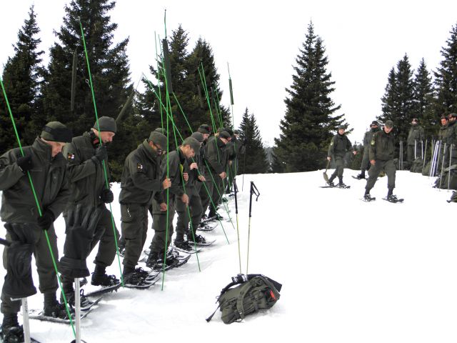 Bildgröße auf die Monitorauflösung (640x480 px) optimiert