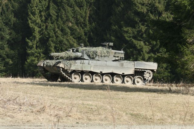 Bildgr&ouml;&szlig;e auf die Monitoraufl&ouml;sung (640x480 px) optimiert