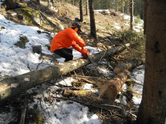 Bildgröße auf die Monitorauflösung (640x480 px) optimiert