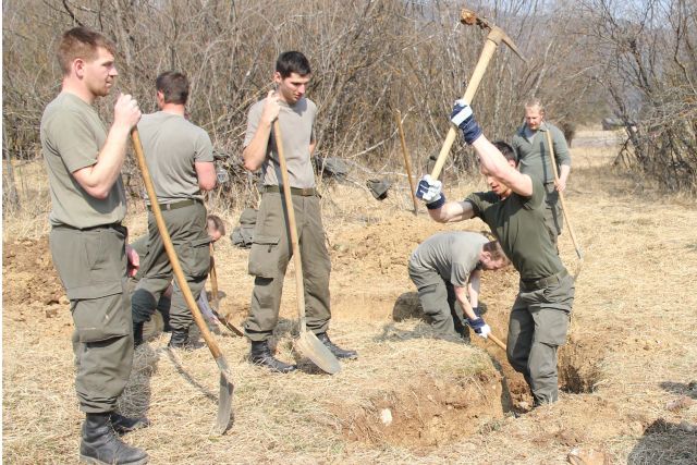 Bildgröße auf die Monitorauflösung (640x480 px) optimiert