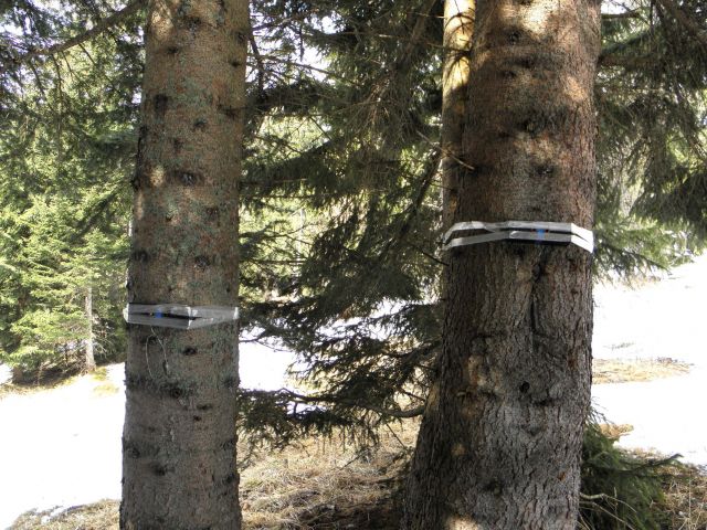 Bildgröße auf die Monitorauflösung (640x480 px) optimiert