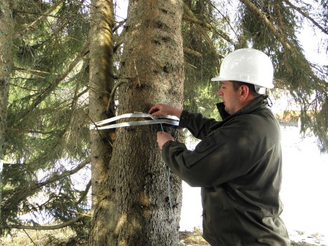 Bildgr&ouml;&szlig;e auf die Monitoraufl&ouml;sung (640x480 px) optimiert