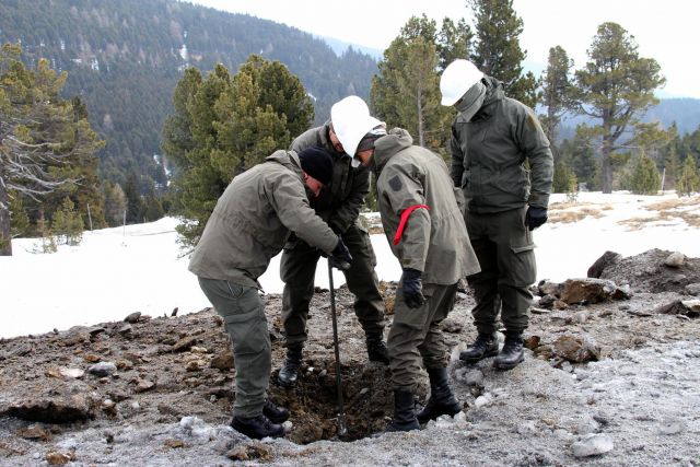 Bildgr&ouml;&szlig;e auf die Monitoraufl&ouml;sung (640x480 px) optimiert