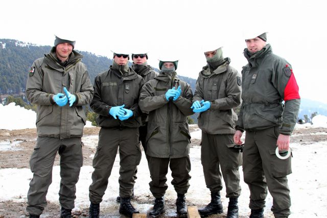 Bildgr&ouml;&szlig;e auf die Monitoraufl&ouml;sung (640x480 px) optimiert