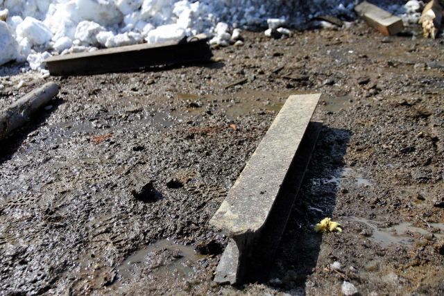 Bildgröße auf die Monitorauflösung (640x480 px) optimiert