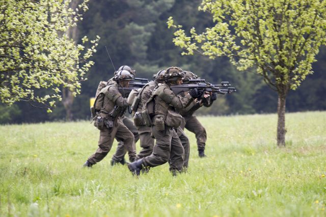 Bildgröße auf die Monitorauflösung (640x480 px) optimiert