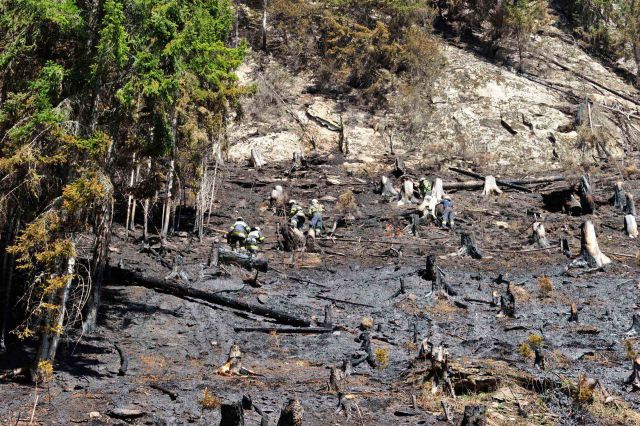 Bildgröße auf die Monitorauflösung (640x480 px) optimiert