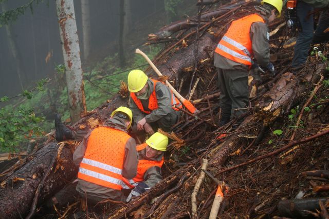 Bildgr&ouml;&szlig;e auf die Monitoraufl&ouml;sung (640x480 px) optimiert