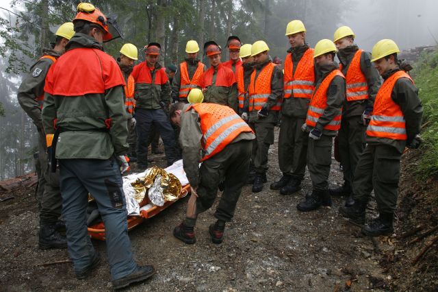 Bildgröße auf die Monitorauflösung (640x480 px) optimiert