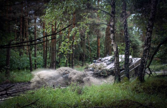 Bildgröße auf die Monitorauflösung (640x480 px) optimiert