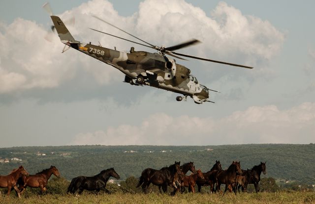 Bildgr&ouml;&szlig;e auf die Monitoraufl&ouml;sung (640x480 px) optimiert