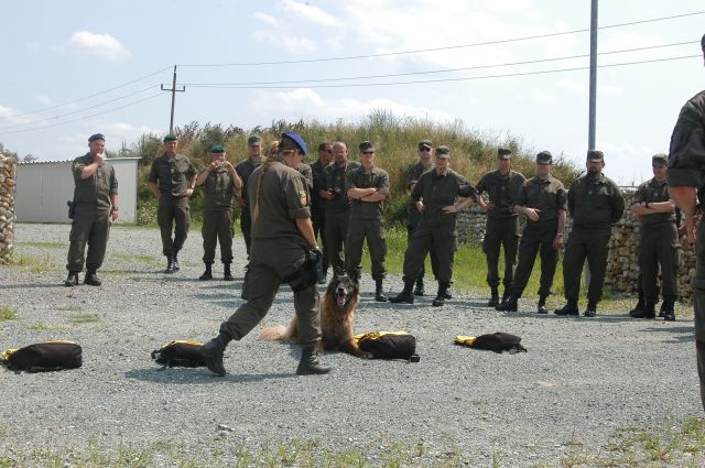 Bildgröße auf die Monitorauflösung (640x480 px) optimiert