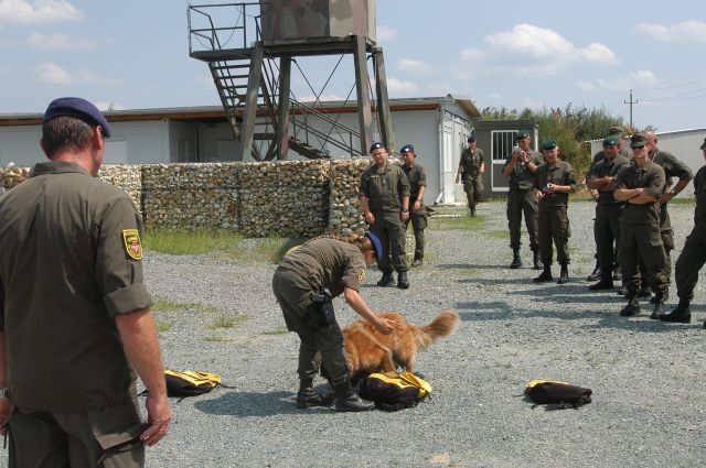 Bildgröße auf die Monitorauflösung (640x480 px) optimiert