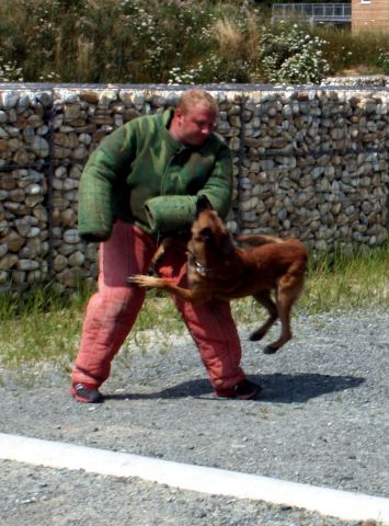 Bildgröße auf die Monitorauflösung (640x480 px) optimiert