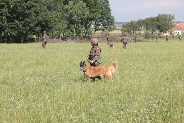 Bildgr&ouml;&szlig;e auf die Monitoraufl&ouml;sung (640x480 px) optimiert