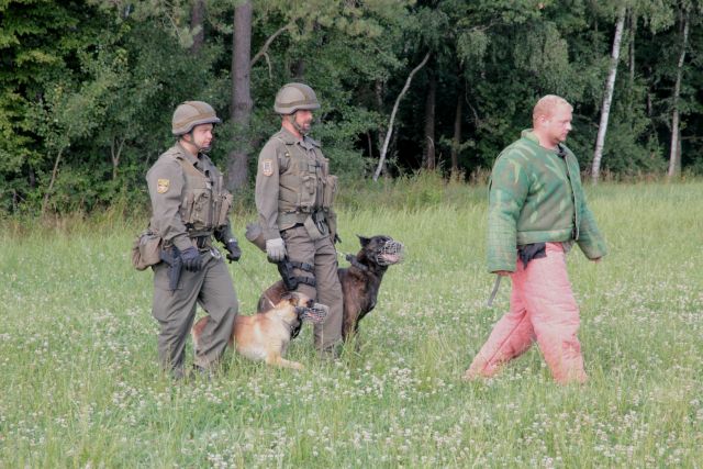 Bildgröße auf die Monitorauflösung (640x480 px) optimiert