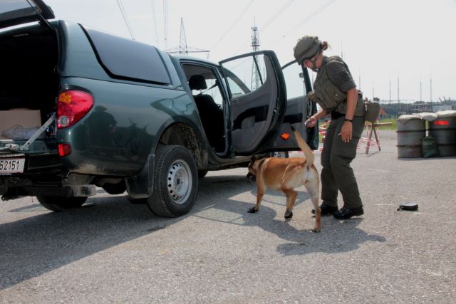 Bildgr&ouml;&szlig;e auf die Monitoraufl&ouml;sung (640x480 px) optimiert