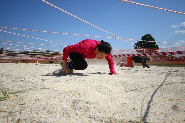 Bildgröße auf die Monitorauflösung (640x480 px) optimiert